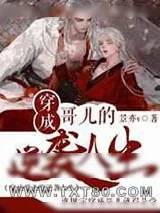 《穿成哥儿的逆袭人生》小说封面