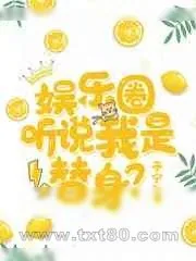 《娱乐圈:听说我是替身?》小说封面