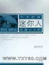 《迷你人》小说封面