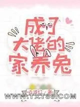 《成了大佬的家养兔》小说封面
