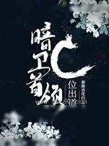 《暗卫首领C位出道[古穿今]》小说封面
