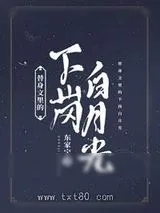 《替身文里的下岗白月光》小说封面