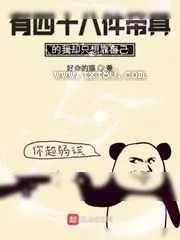 《有四十八件帝具的我却只想靠自己》小说封面