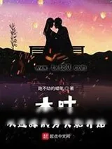《木叶:从选择成为火影开始》小说封面