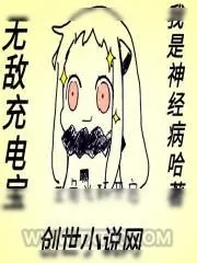 《无敌充电宝》小说封面