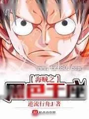 《ONE PIECE》小说封面