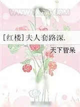 《夫人猛于虎》小说封面