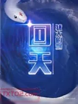 《回天》小说封面