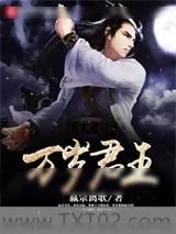 《万岁君王》小说封面