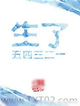 《生了五四三二一》小说封面