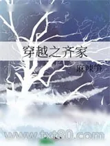 《穿越之齐家》小说封面