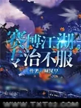 《赛博江湖，专治不服》小说封面