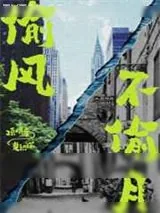 《偷风不偷月》小说封面