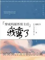 《穿成玛丽苏文男主后我弯了》小说封面
