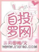 《自投罗网》小说封面