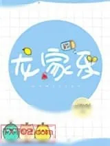 《龙家乐》小说封面