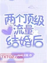 《两个顶级流量结婚后》小说封面