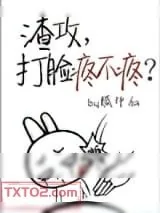《渣攻,打脸疼不疼?》小说封面
