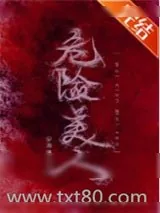 《危险美人》小说封面