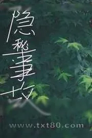 《隐秘事故》小说封面