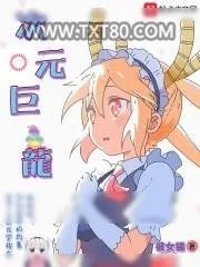 《次元巨龙》小说封面