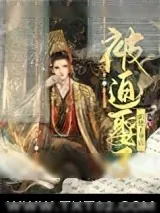 《被迫娶了阴鸷王爷后》小说封面