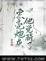 《漂亮炮灰他觉醒了》小说封面