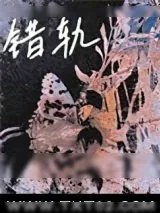 《错轨》小说封面