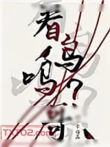 《看鸟吗哥》小说封面