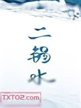 《二锅水》小说封面