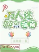 《万人迷翻车指南》小说封面