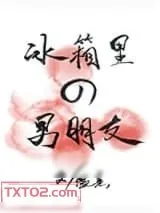 《冰箱里的男朋友》小说封面