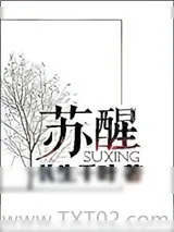 《苏醒》小说封面