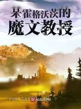 《某霍格沃茨的魔文教授[HP]》小说封面