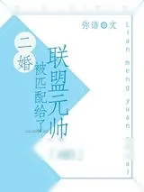 《二婚被匹配给了联盟元帅》小说封面