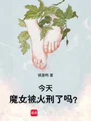 《今天魔女被火刑了吗？》小说封面