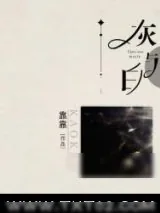 《灰与白》小说封面