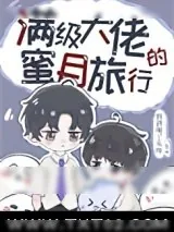 《满级大佬的蜜月旅行》小说封面