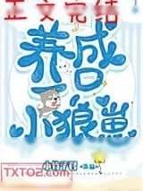 《养了一只小狼崽》小说封面