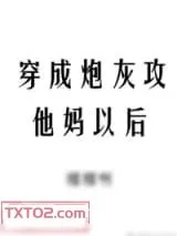 《穿成炮灰攻他妈以后》小说封面