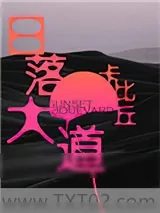 《日落大道》小说封面