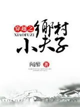 《穿越之乡村小夫子》小说封面