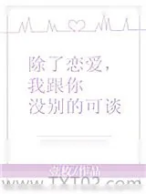 《除了恋爱，我跟你没别的可谈》小说封面