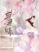 《与君情》小说封面