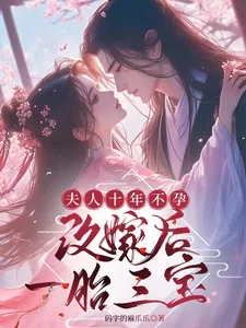 《夫人十年不孕,改嫁后一胎三宝》小说封面