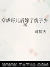 《穿成哥儿后嫁了傻子少爷》小说封面