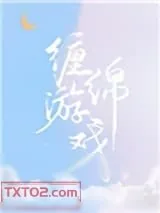 《缠绵游戏》小说封面