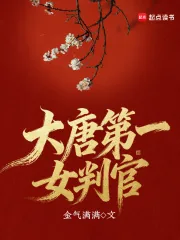 《大唐第一女判官》小说封面