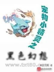 《精灵之黑色幻想》小说封面