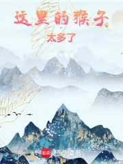 《这里的猴子太多了!》小说封面